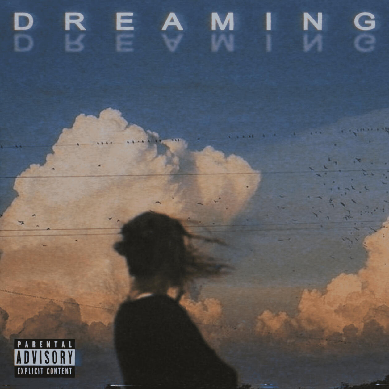 DREAMING